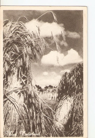 Postal 036172 : Nederland