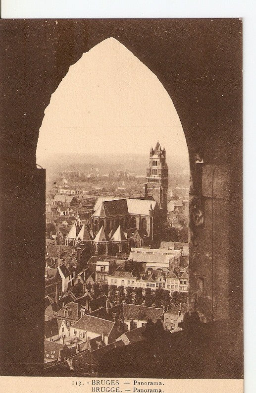 Postal 036204 : Bruges - Panorama