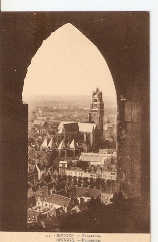 Postal 036204 : Bruges - Panorama