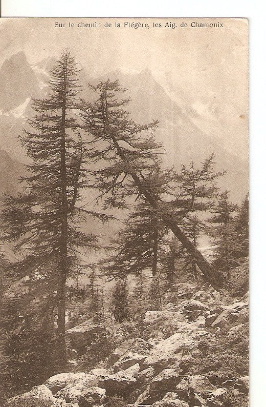 Postal 036216 : Sur le chemin de la Flegere les Aig. De Chamonix