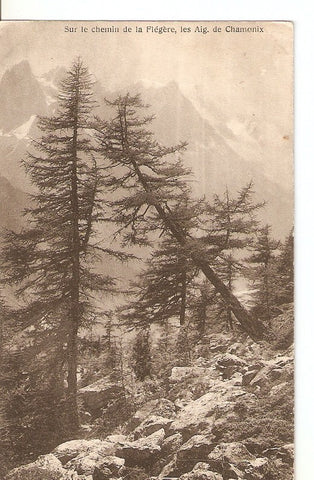 Postal 036216 : Sur le chemin de la Flegere les Aig. De Chamonix