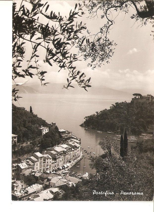 Postal 036247 : Portofino - panorama