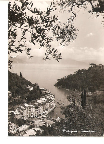 Postal 036247 : Portofino - panorama