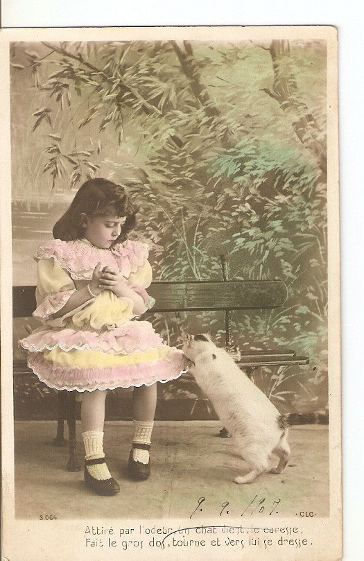 Postal 036285 : Attire par lodeur un chat vient le caresse