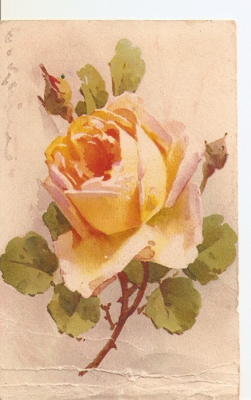 Postal 036326 : Rosa amarilla