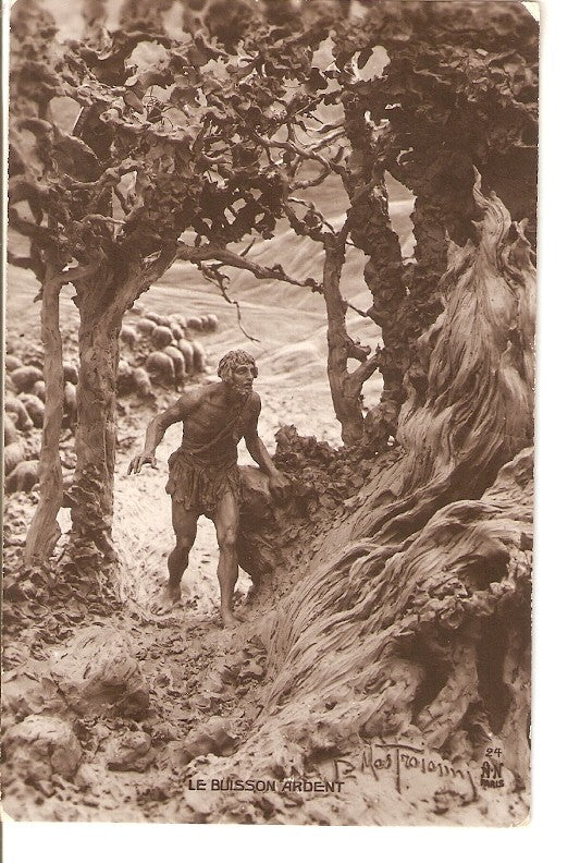Postal 036464 : Le Buisson Ardent