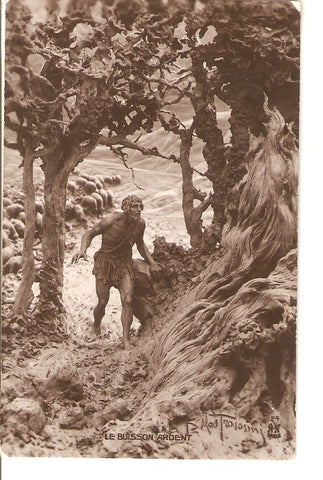 Postal 036464 : Le Buisson Ardent