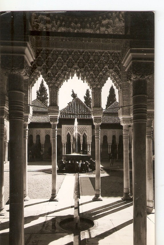 Postal 036514 : Granada. Alhambra. Patio de los Leones