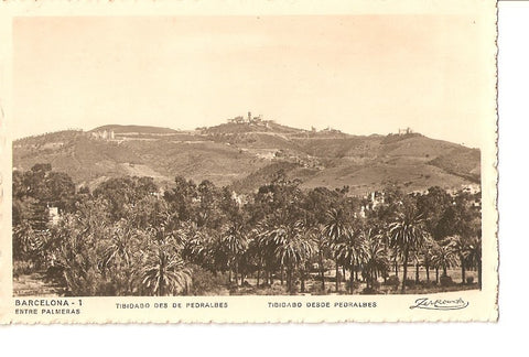 Postal 036529 : Barcelona entre Palmeras. Tibidabo desde Pedralbes
