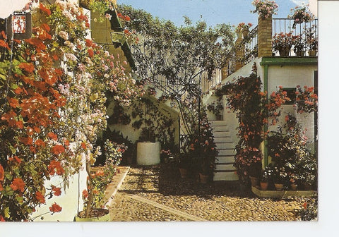 Postal 036715 : Cordoba. Bajo de Patio.Calle Montero