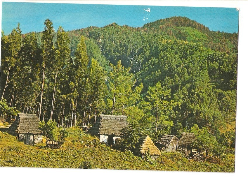Postal 036766 : Santana (Madeira). Casas tipicas