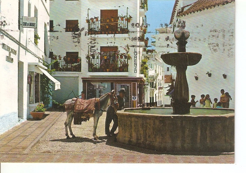 Postal 036773 : Marbella (Costa del Sol). Fuente de la Suerte