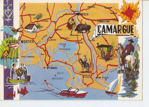 Postal 036808 : La Camargue. Plan Touristique