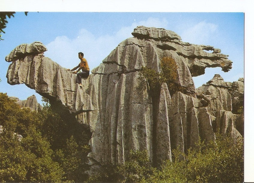 Postal 036849 : Santuario de Lluc. El Camell Lluc - Mallorca