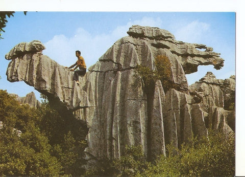 Postal 036849 : Santuario de Lluc. El Camell Lluc - Mallorca