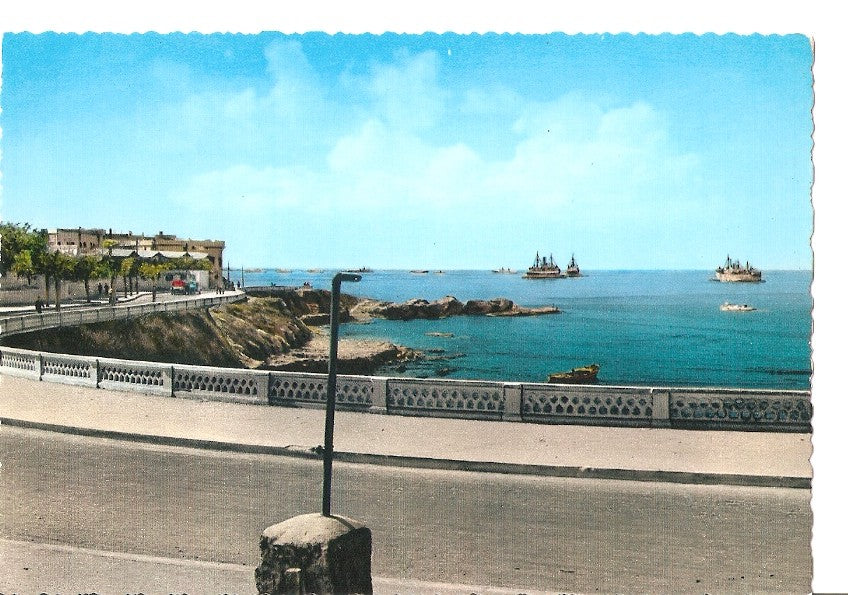 Postal 036861 : Lattakieh