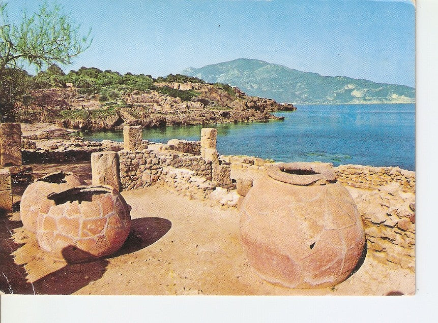 Postal 036944 : Tipaza - Ruines Romains Algerie