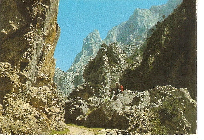 Postal 036959 : Garganta del Cares