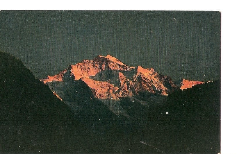 Postal 036972 : Interlaken - Jungfrau. Gedruck in der Schweiz