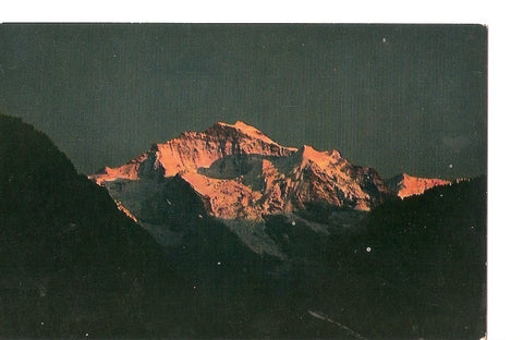 Postal 036972 : Interlaken - Jungfrau. Gedruck in der Schweiz