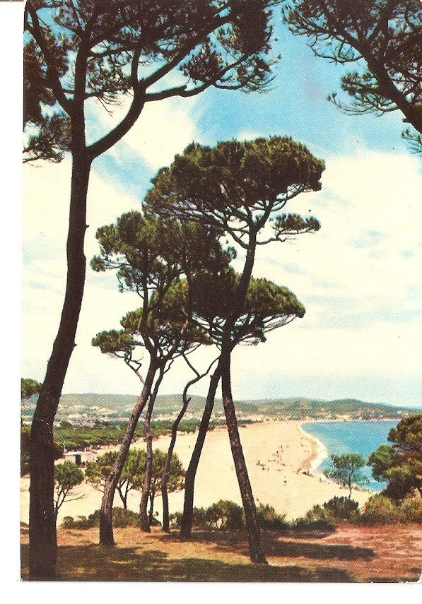 Postal 037043 : Costa Brava. Playa DAro