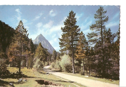 Postal 037218 : Pirineos de Lerida. El Pallars. Valle de Espot. Camino de San Mauricio