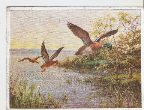 Postal 037255 : Warren