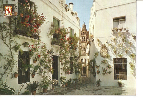 Postal 037318 : Cordoba. Calleja y Plaza de las Flores