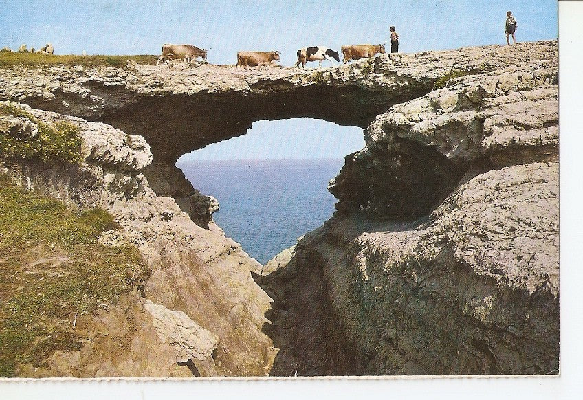 Postal 037327 : Santander. Puente del Diablo