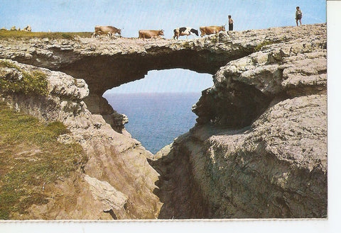 Postal 037327 : Santander. Puente del Diablo