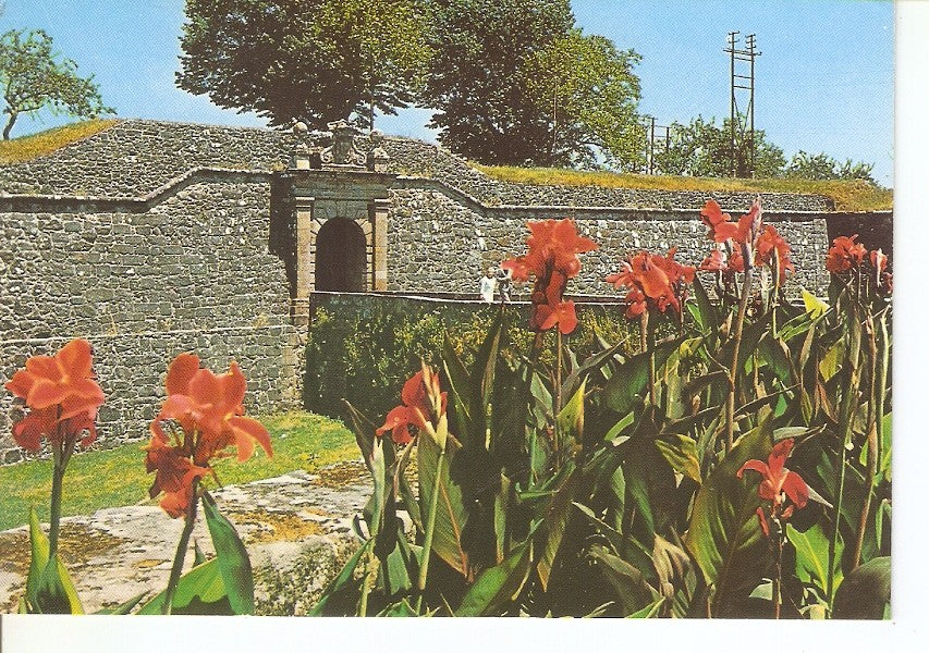 Postal 037331 : Valença do Minho (Portugal). Detail de lancienne fortresse