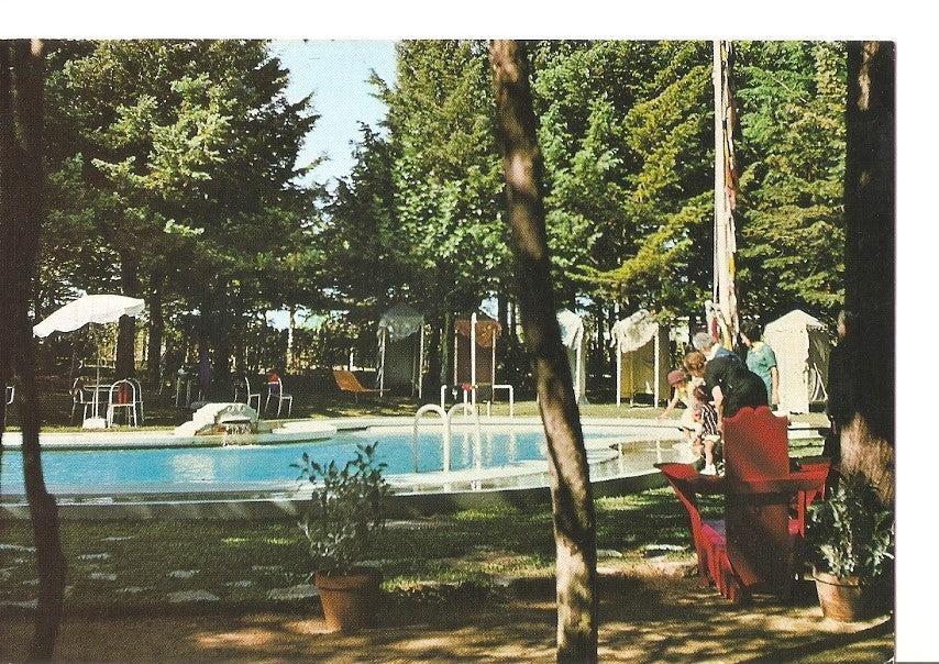 Postal 037341 : Curia - Portugal. Piscina