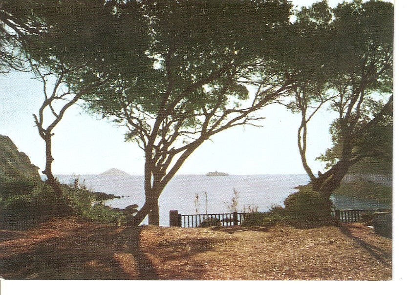 Postal 037449 : Isola dElba - Cavo. Italia