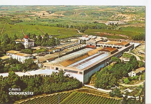 Postal 037712 : Cavas Codorniu. Exteriores