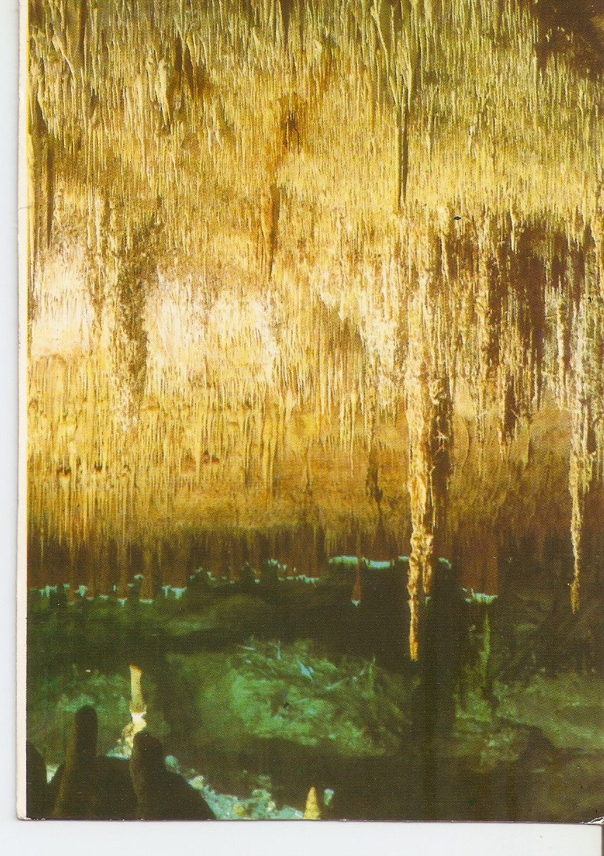 Postal 037722 : Cuevas del Drach. Porto Cristo - Mallorca. Formaciones rebeldes