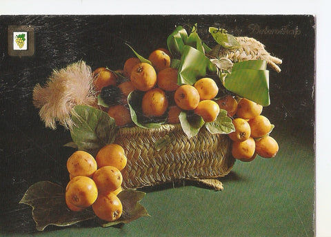 Postal 037766 : Cesta de fruta. Van Harte Beteschap