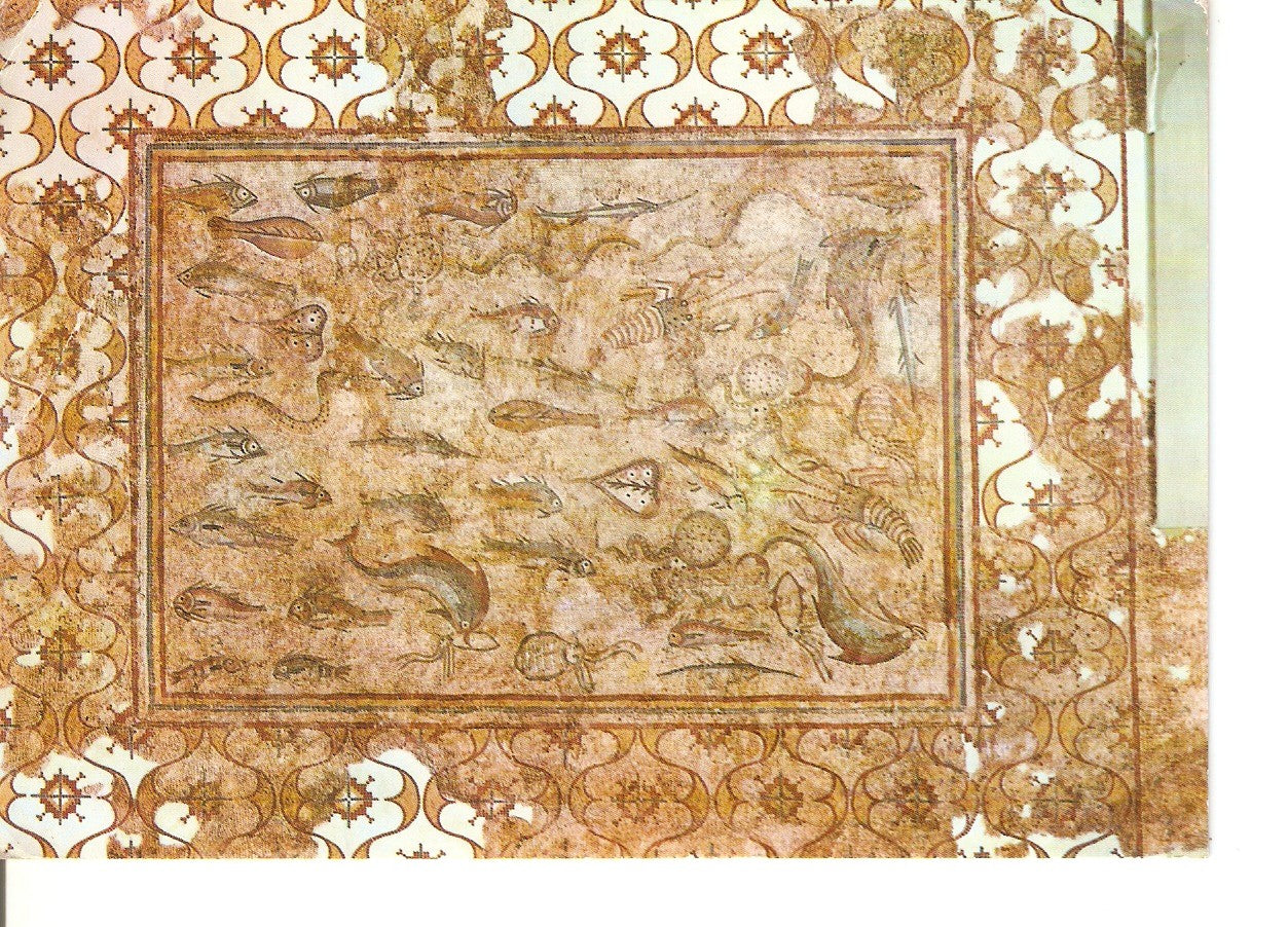 Postal 037842 : Costa Dorada - Tarragona. Museo Arqueologico. Mosaico con peces