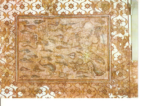 Postal 037842 : Costa Dorada - Tarragona. Museo Arqueologico. Mosaico con peces