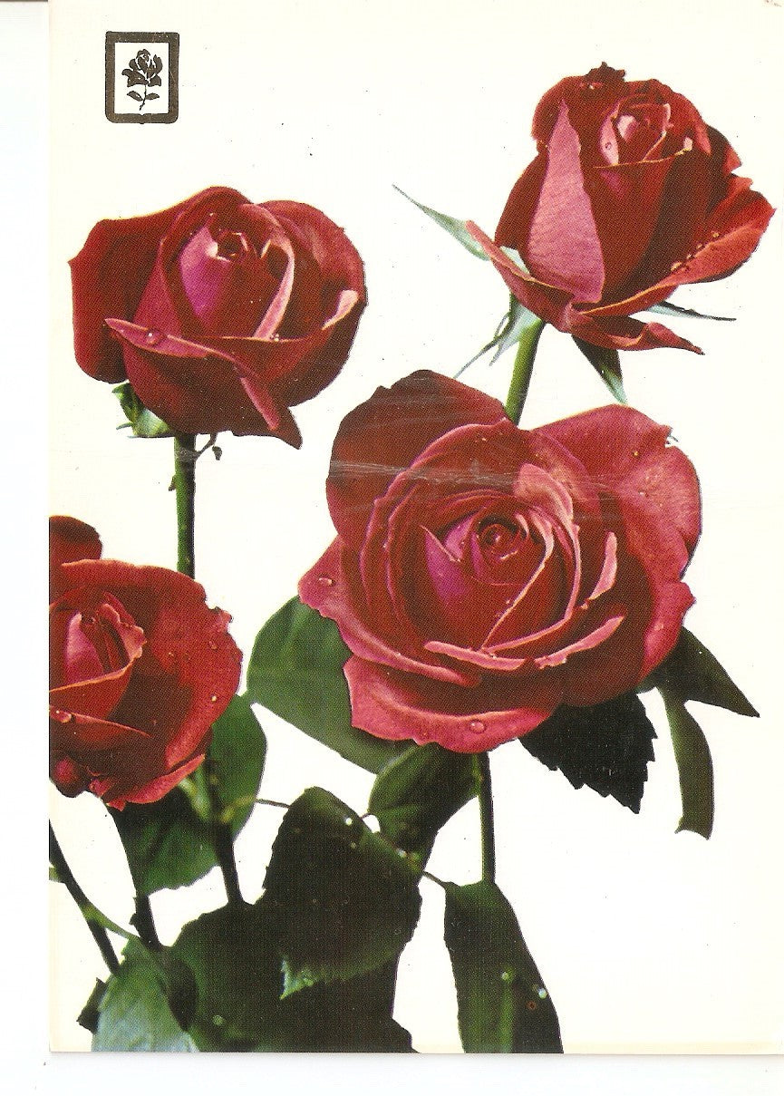 Postal 037866 : Coleccion de Flores