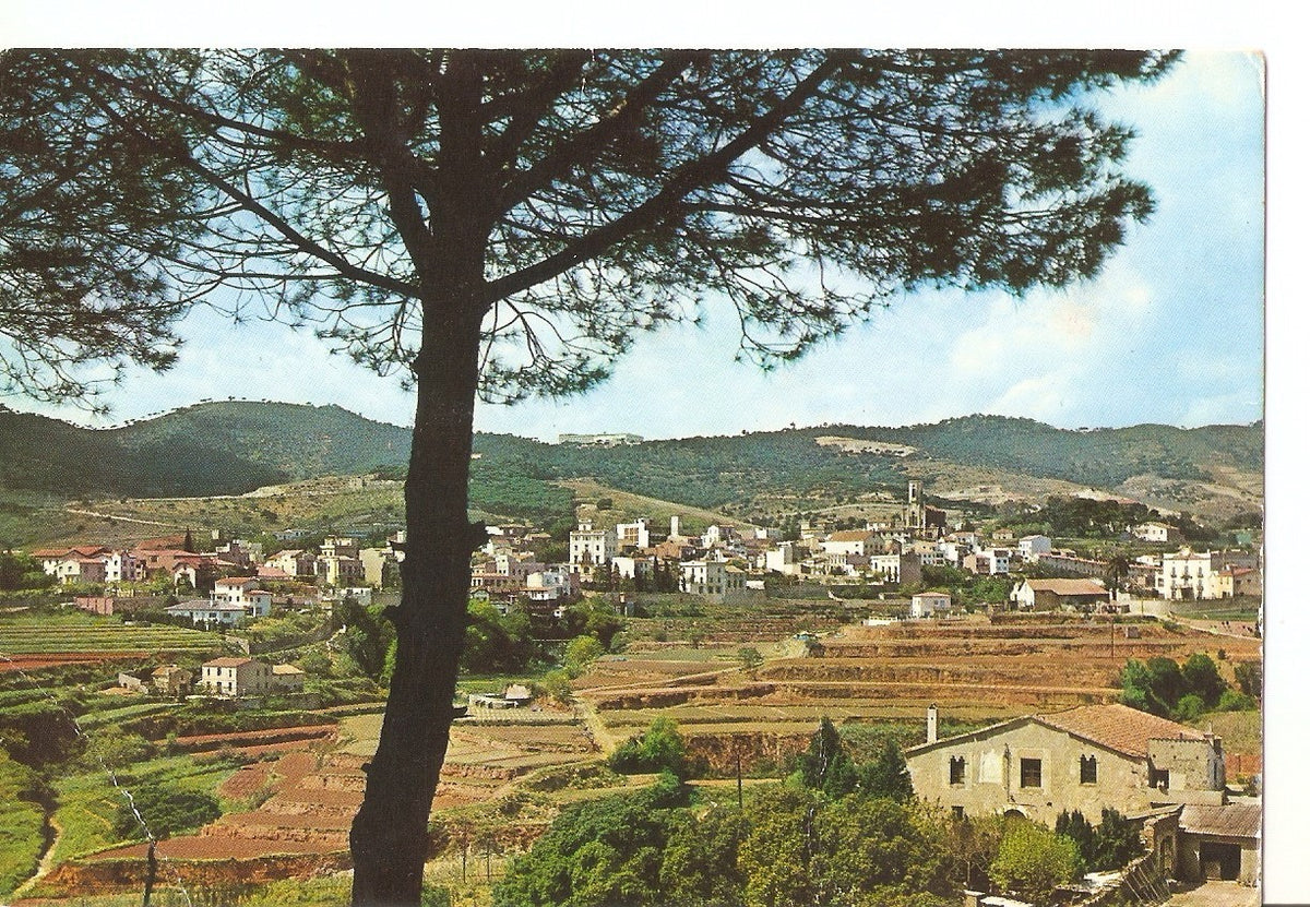 Postal 037911 : Tiana. Vista general