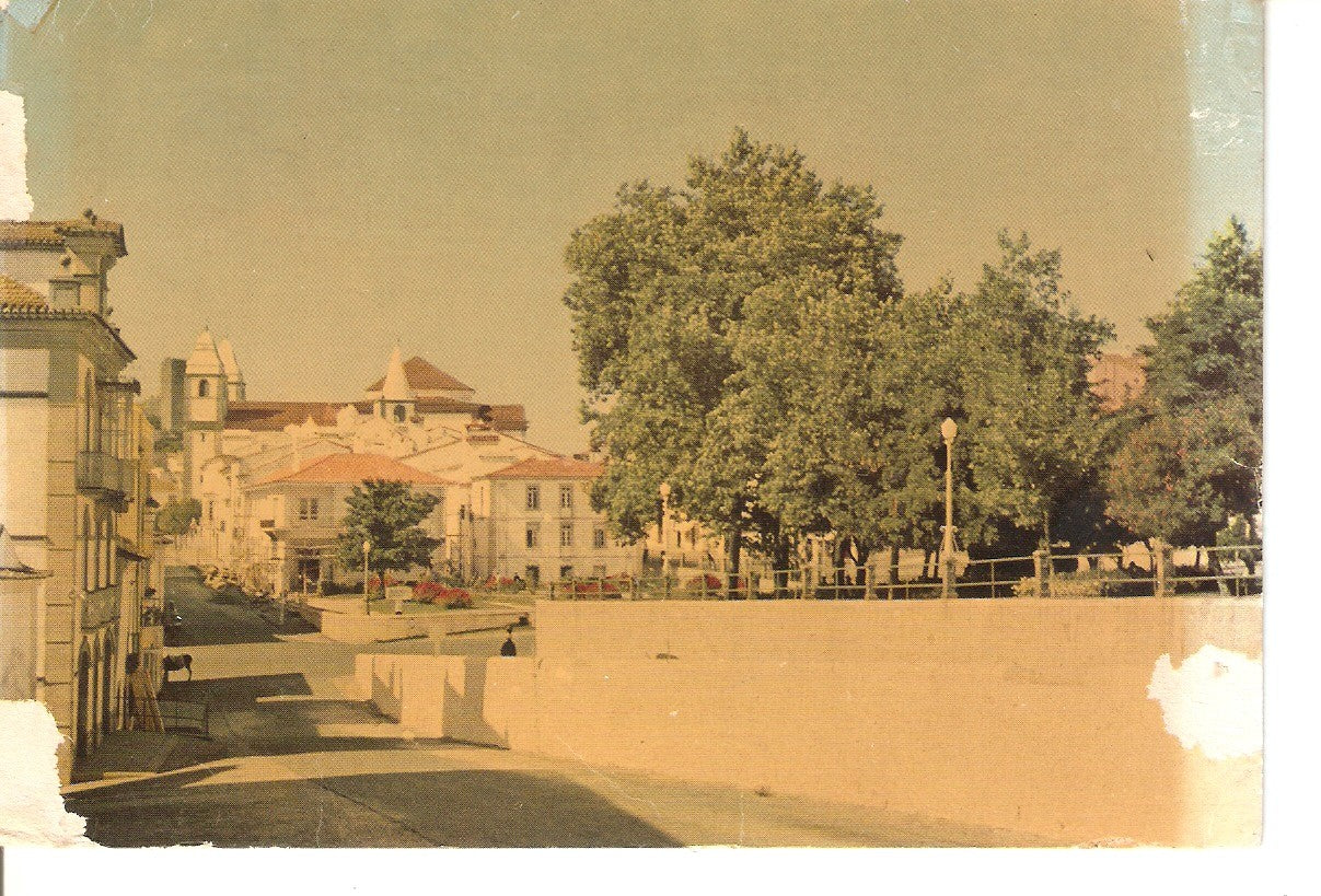 Postal 037937 : Castelo de Vide (Portugal). Rua de Olivença