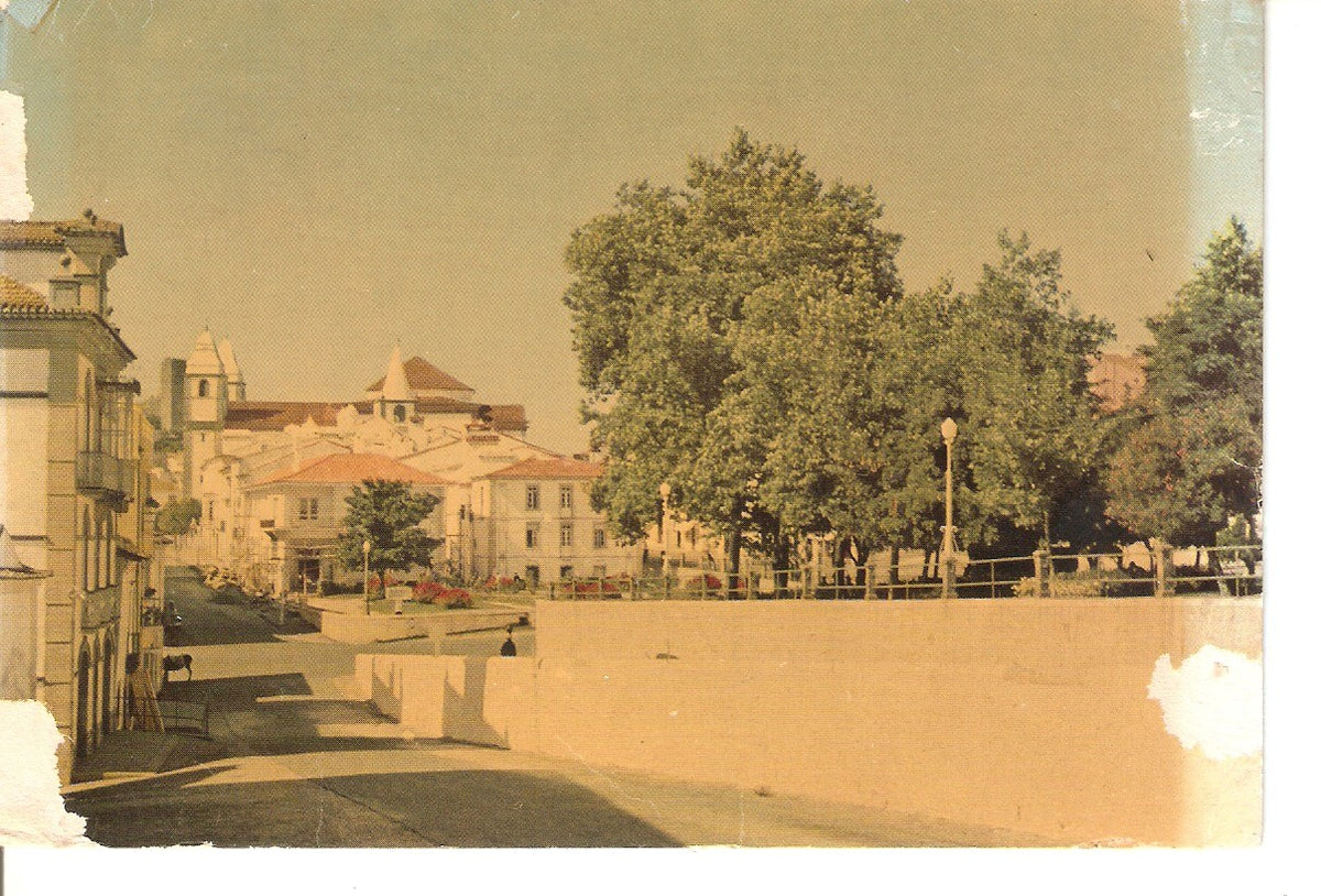 Postal 037937 : Castelo de Vide (Portugal). Rua de Olivença