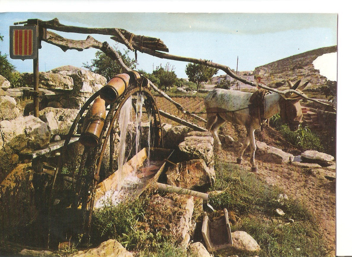 Postal 037944 : Catalunya tipica. Sinia