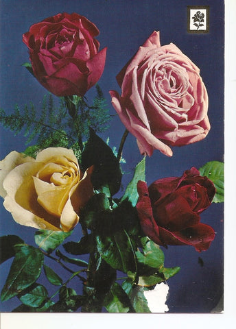 Postal 037968 : Coleccion Flores  