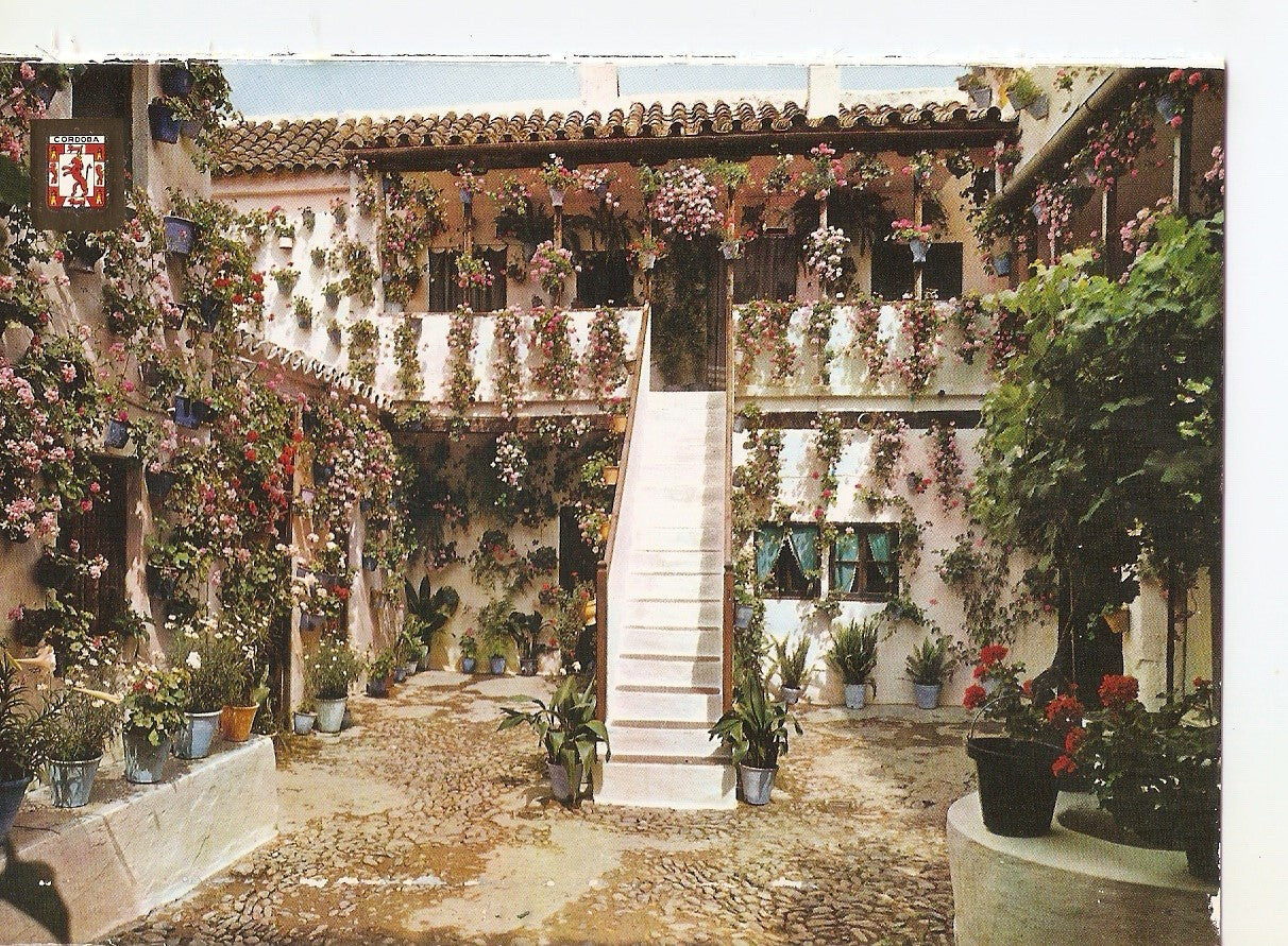 Postal 038008 : Cordoba. Patio Cordobes. Primer premio