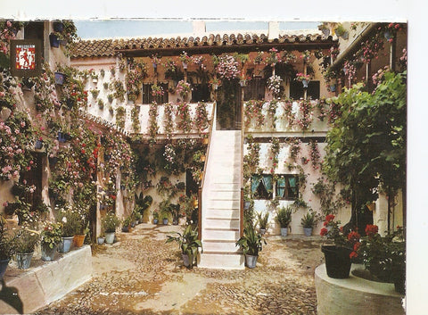 Postal 038008 : Cordoba. Patio Cordobes. Primer premio