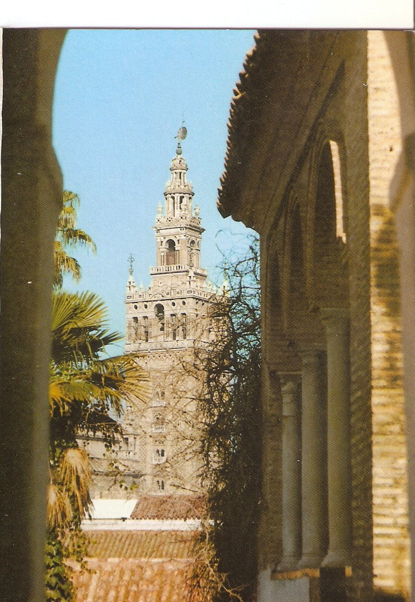 Postal 038019 : Sevilla. El Alcazar. Mirador