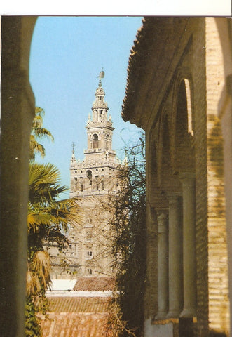 Postal 038019 : Sevilla. El Alcazar. Mirador
