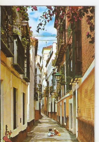 Postal 038034 : Sevilla. Barrio de Santa Cruz. Calle de la Pimienta