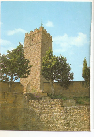 Postal 038042 : SOS del Rey Catolico (Zaragoza). Torre del Homenaje